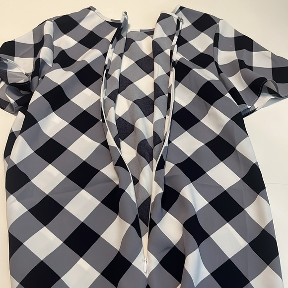 Ann Taylor Gingham Ruffle Sleeve Shift Dress Size 4 - Picture 9 of 12